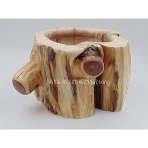 Rocky Mountain Juniper Bowl #10