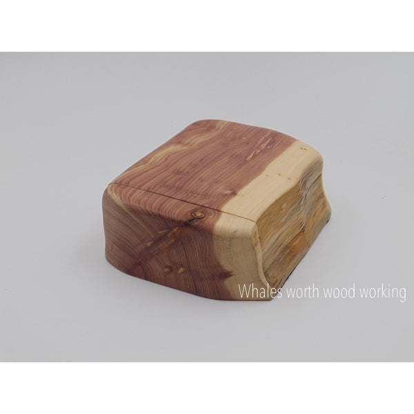 Juniper jewelry box #3